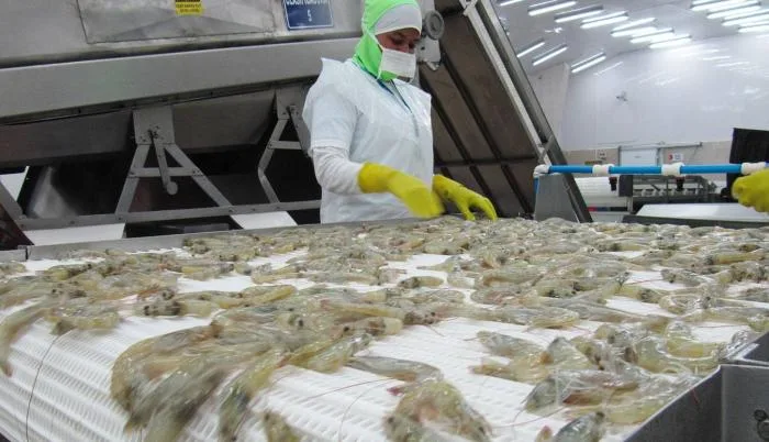 Exportadores ecuatorianos proponen agenda gubernamental centrada en seguridad y competitividad