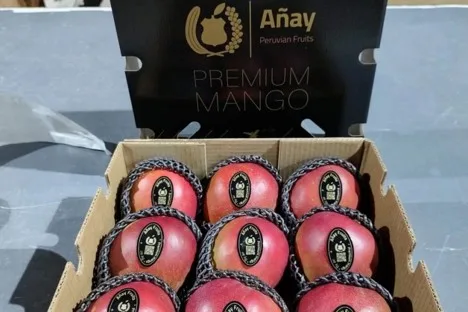 Internacional: "El mango peruano tiene un final de temporada complicado, con precios altos en campo y una demanda que no está donde se esperaba"