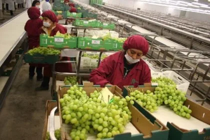 Perú: Empleos generados por exportaciones caen 8,5% de enero a septiembre de 2023