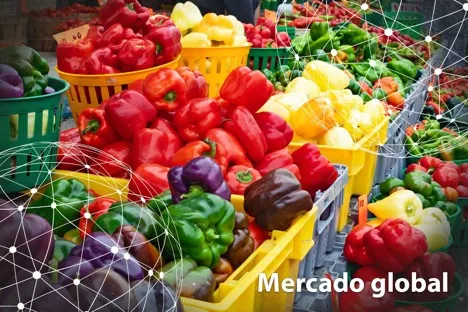 Resumen del mercado global del pimiento