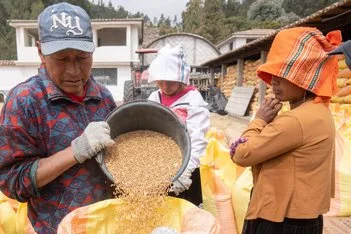 Empresa privada incentiva a productores para fomentar el cultivo de trigo