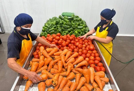 Materias primas frescas del campo es la prioridad para empresa privada