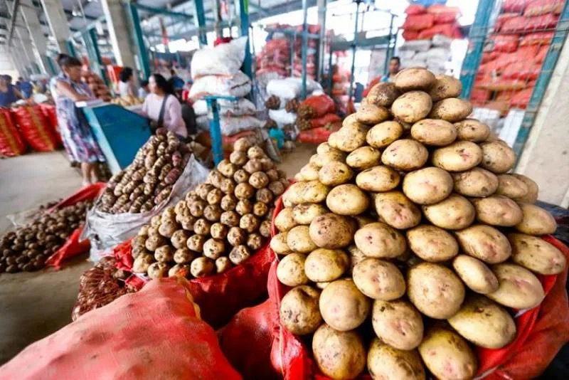Internacional Perú: Oficializan ley que promueve la industrialización del cultivo de la papa