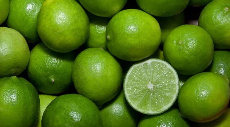 Ecuador logra autorización para exportar limón a Chile tras misión de hermanamiento