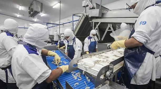 Avance tecnológico tranforma el proceso de exportación en Ecuador