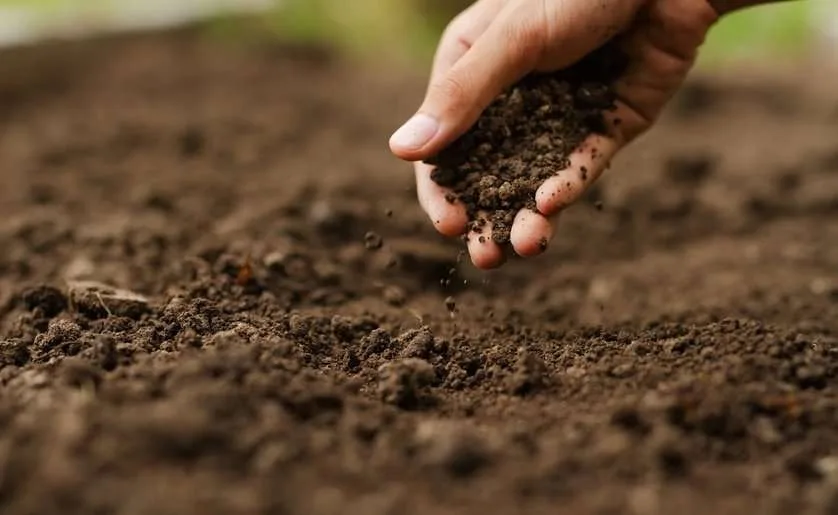 Alianza para prácticas agrícolas sostenibles y mitigación climática en América Latina y El Caribe