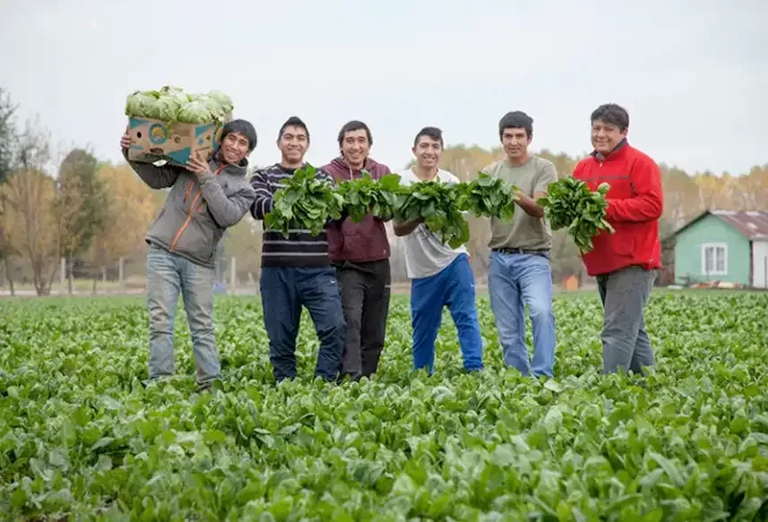 Cómo atraer a los jóvenes y sus nuevas ideas a trabajar en el sector agropecuario