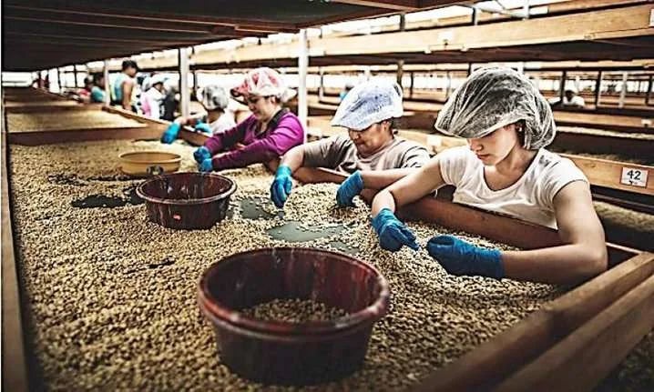 Ecuador se consolida como Destino de Inversiones al Coauspiciar Acuerdo de Facilitación de Inversiones para el Desarrollo (FID) en la OMC
