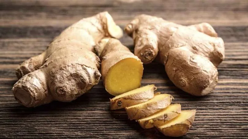 Internacional: Conforman el primer gremio de productores de jengibre y cúrcuma en Chanchamayo, Perú