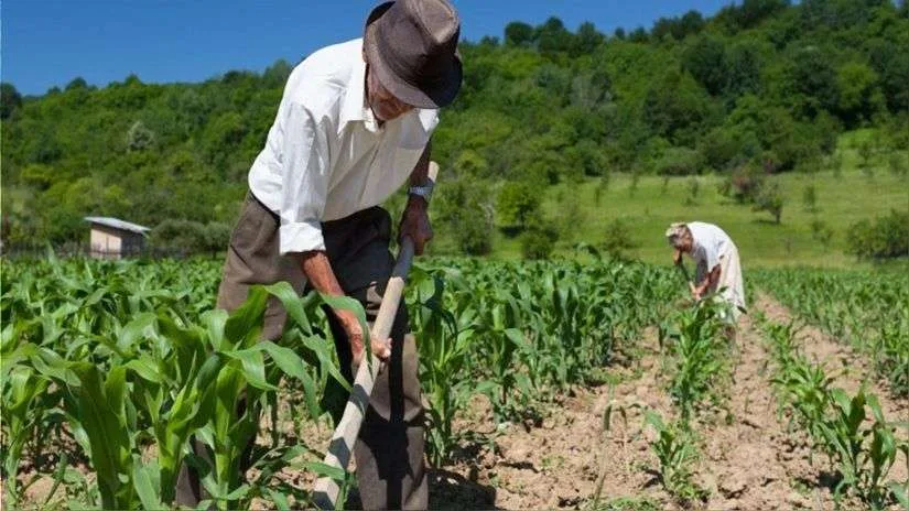 Gobierno aprueba USD 179, 7 millones en nuevos contratos de inversión para impulsar el empleo en el agro