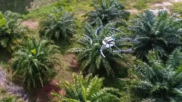 Robótica, IA y realidad aumentada, tecnologías que definirán el futuro de la agroindustria