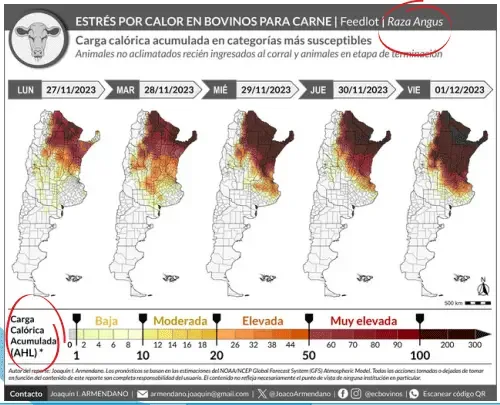 Estrés por calor en bovinos para carne: recomendaciones