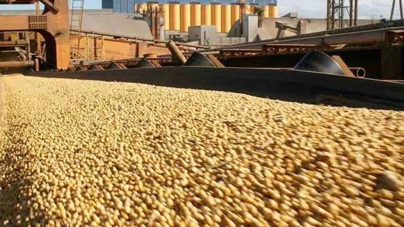 Internacional: Las exportaciones de granos de Argentina podrían aumentar un 40% gracias a impulso del fenómeno de El Niño