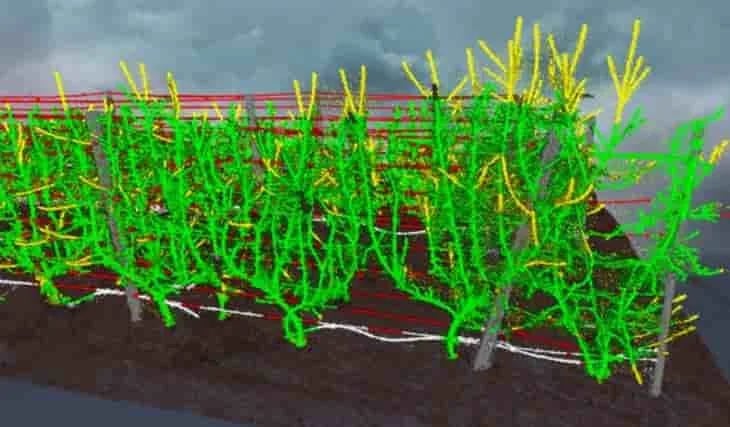 Se necesitan gemelos digitales de árboles frutales para prepararse para la jardinería del futuro