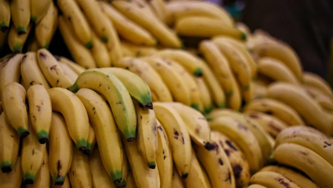 INTERNACIONAL, COLOMBIA: El sector bananero del país exportó USD$1.000 millones y generó 300.000 empleos