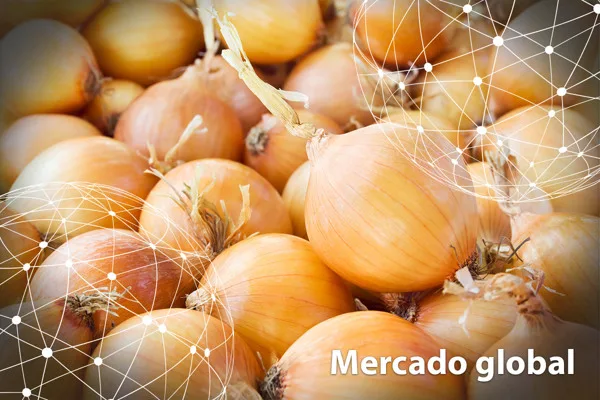 DATOS ESTADÍSTICOS: Resumen del mercado global de la cebolla
