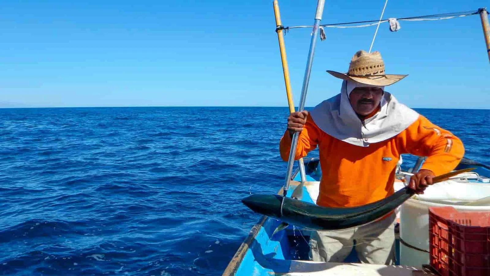 INFORME TÉCNICO: Una investigación analiza la adaptación de los pescadores al cambio climático