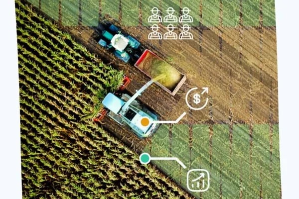INTERNACIONAL: Un nuevo programa de gestión de campos ayuda a los agricultores a reducir costos