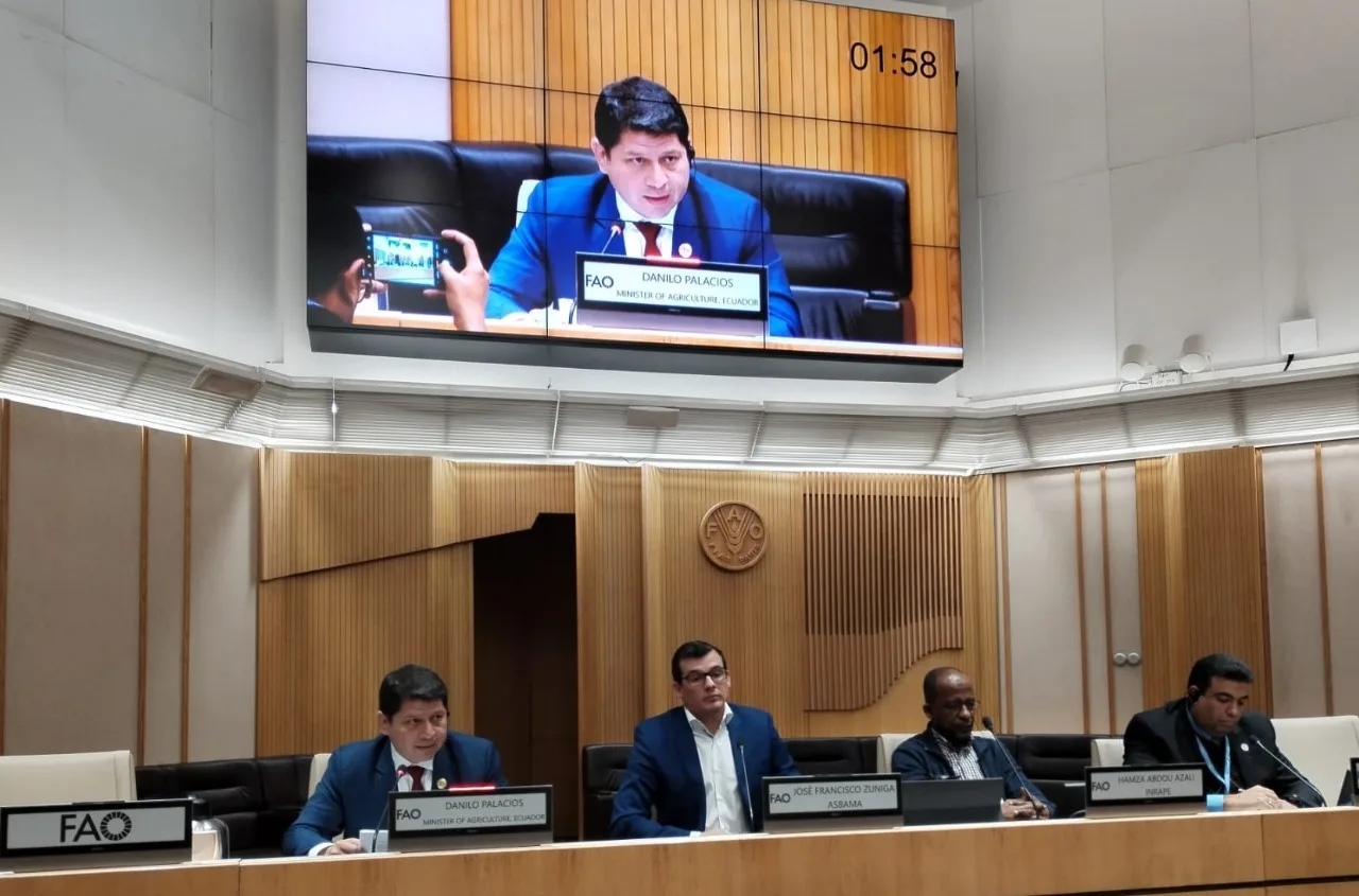 Ecuador Fortalece Defensas contra Plagas del Banano: Ministro Palacios Presenta Estrategias en Roma