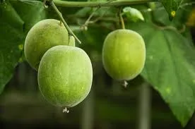 El edulcorante elaborado con una fruta que es sustituto del azúcar para personas con diabetes y ayuda a bajar de peso