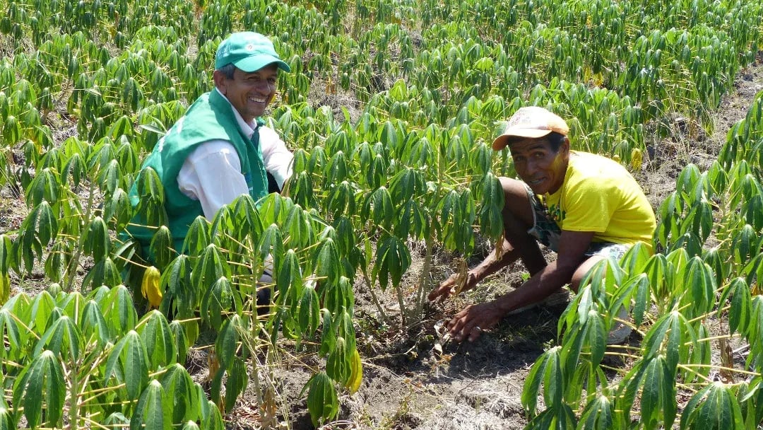 INTERNACIONAL, COLOMBIA: Plataforma revoluciona comercialización de productos locales en la ciénaga de Zapatosa