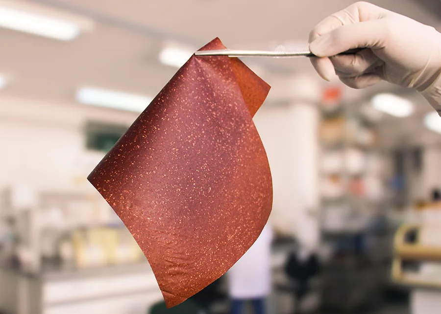 INTERNACIONAL: Investigadores convierten las cáscaras de plátano en películas bioplásicas a través de método sencillo