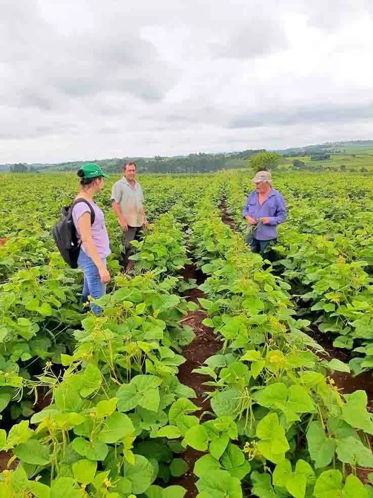 Cultivos asociados: una alternativa para los agricultores
