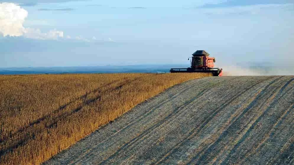 INTERNACIONAL: Las estrategias de diversificación agrícola generan mayores beneficios sociales y ambientales