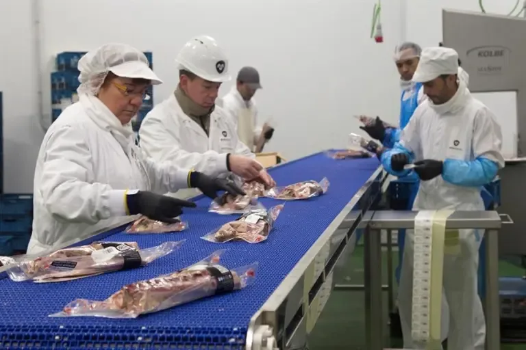 INTERNACIONAL: Las industrias de carne y pesca piden más protección ante "productos veganos de imitación"