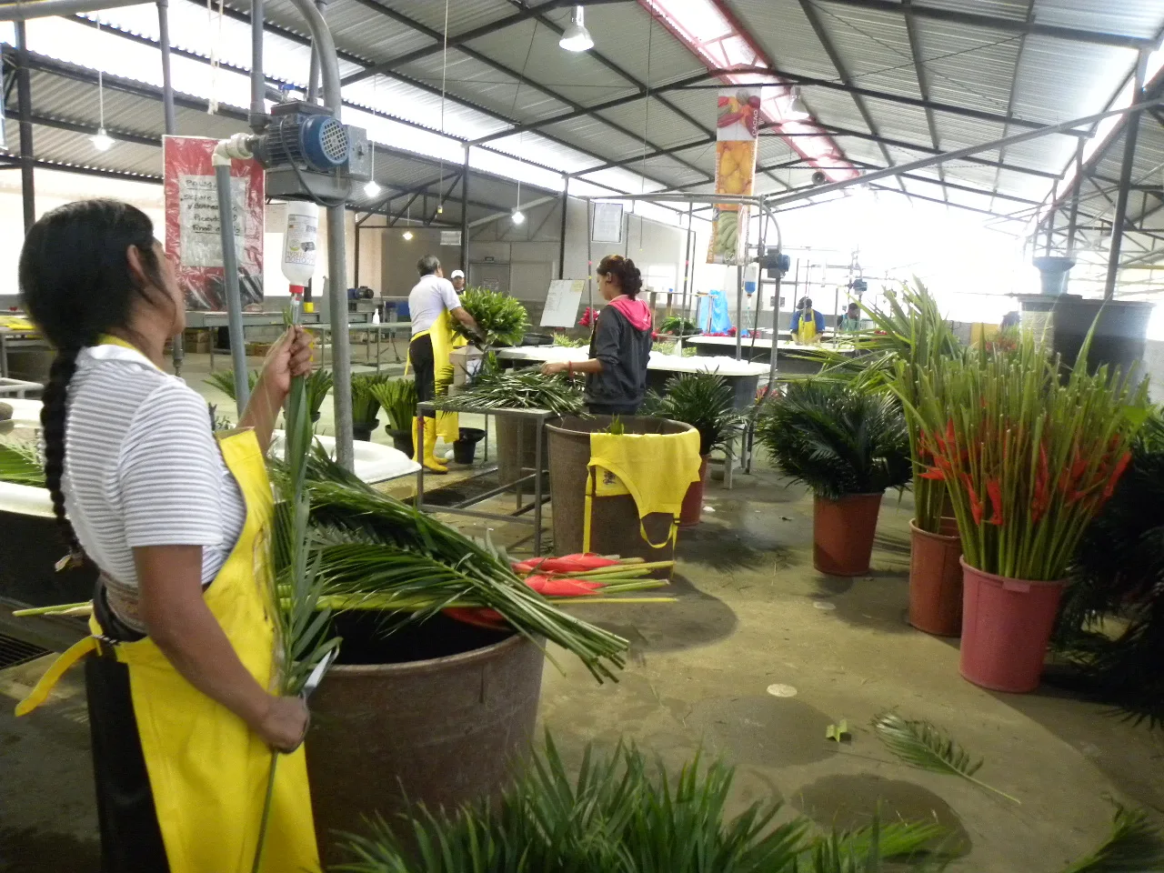 EL PRODUCTOR.COM rinde homenaje a la Mujer del Campo en el Día de la Madre Pilar Invisible de Nuestra Agricultura
