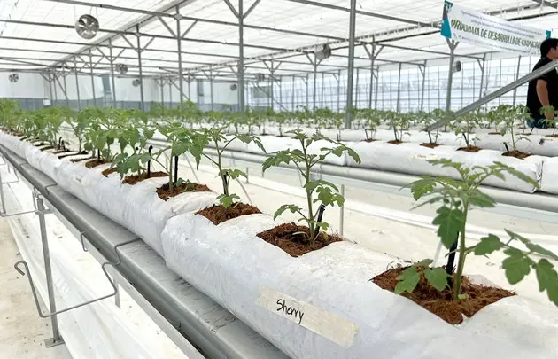 INTERNACIONAL: Costa Rica inaugura su primer invernadero inteligente con el apoyo del BCIE y Corea