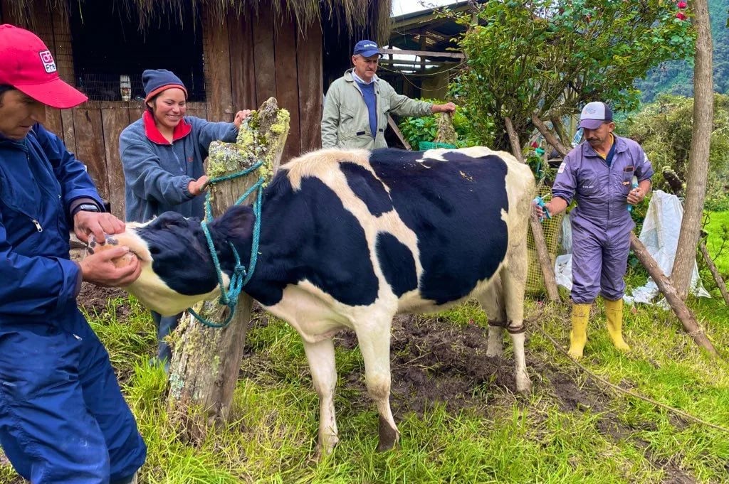 Apoyo para Productores Ganaderos en Oyacachi tras Desastre Natural