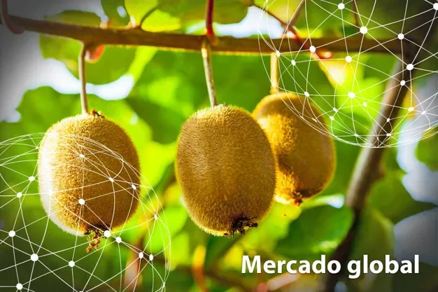 DATOS ESTADÍSTICOS: Resumen del mercado global del kiwi