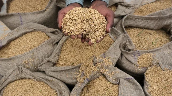 INTERNACIONAL, COLOMBIA: Arroceros piden al Ministerio de Agricultura ajuste de precios por pérdidas en ingresos