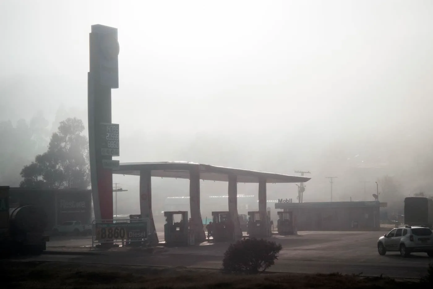 INTERNACIONAL: Cafeína sería útil para obtener combustibles menos contaminantes