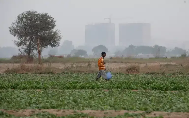 INTERNACIONAL: India va a desplazar a China como vector del crecimiento de la demanda agrícola en 10 años