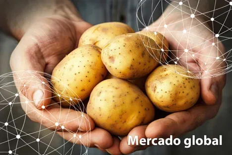 DATOS ESTADÍSTICOS: Resumen del mercado global de la papa