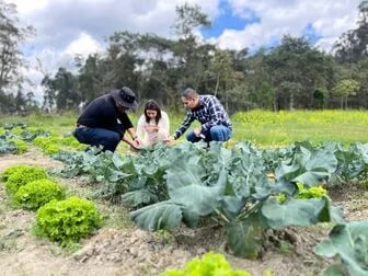 Nuevo biofertilizante de la UNL potenciará la producción agrícola