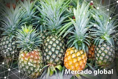 Resumen del mercado global de la piña
