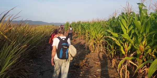Avances en el Proyecto de Neutralidad de la Degradación de la Tierra en Ecuador