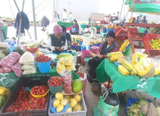 ECUADOR: Productores obtienen certificados para vender directamente al consumidor