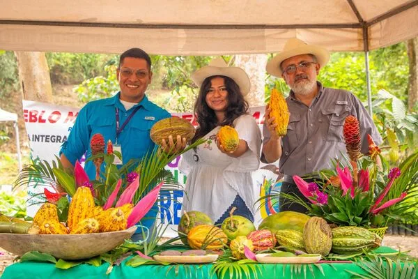 ECUADOR: INIAP Libera dos nuevos clones de cacao