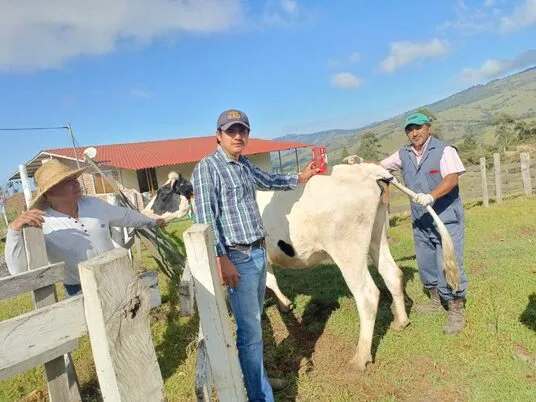 ECUADOR: Prefectura de Loja impulsa programa de mejoramiento genético ganadero