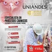 ECUADOR: Santo Domingo, Capital de la Carne, Lanzará Certificación para Especialistas en Procesos Cárnicos