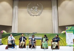 Tailandia: La conferencia mundial del Arroz Sostenible 2024 destaca la transformación climática del sector