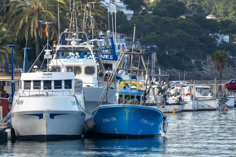 La Unión Europea logra un acuerdo sobre la pesca de 2025 en el Atlántico y el Mediterráneo