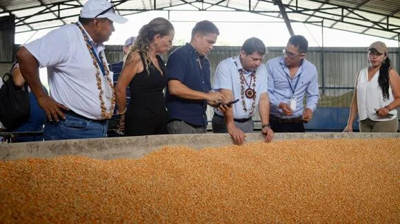 ECUADOR: Productores maiceros de la Amazonía obtienen representación en el Consejo Consultivo Agroalimentario