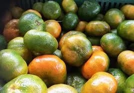 CHINA: $9,650 por 500 gramos de viejas cáscaras de mandarinas?