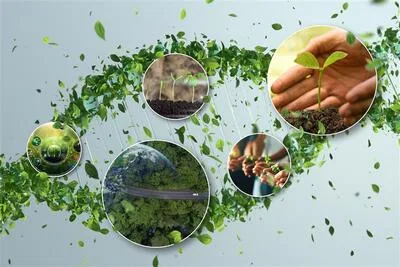 Ecuador avanza hacia la agricultura sostenible con nuevas tecnologías y prácticas ecológicas