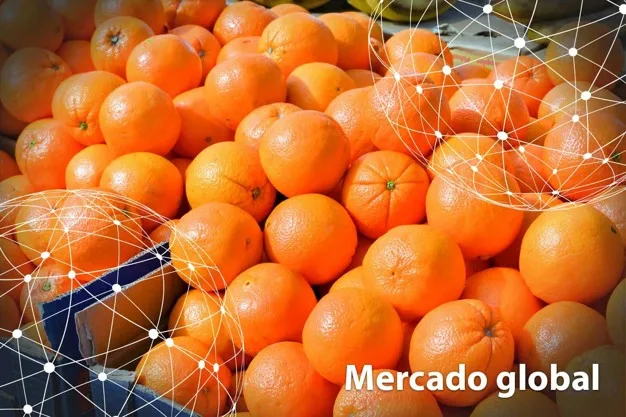 Resumen del mercado global de la naranja